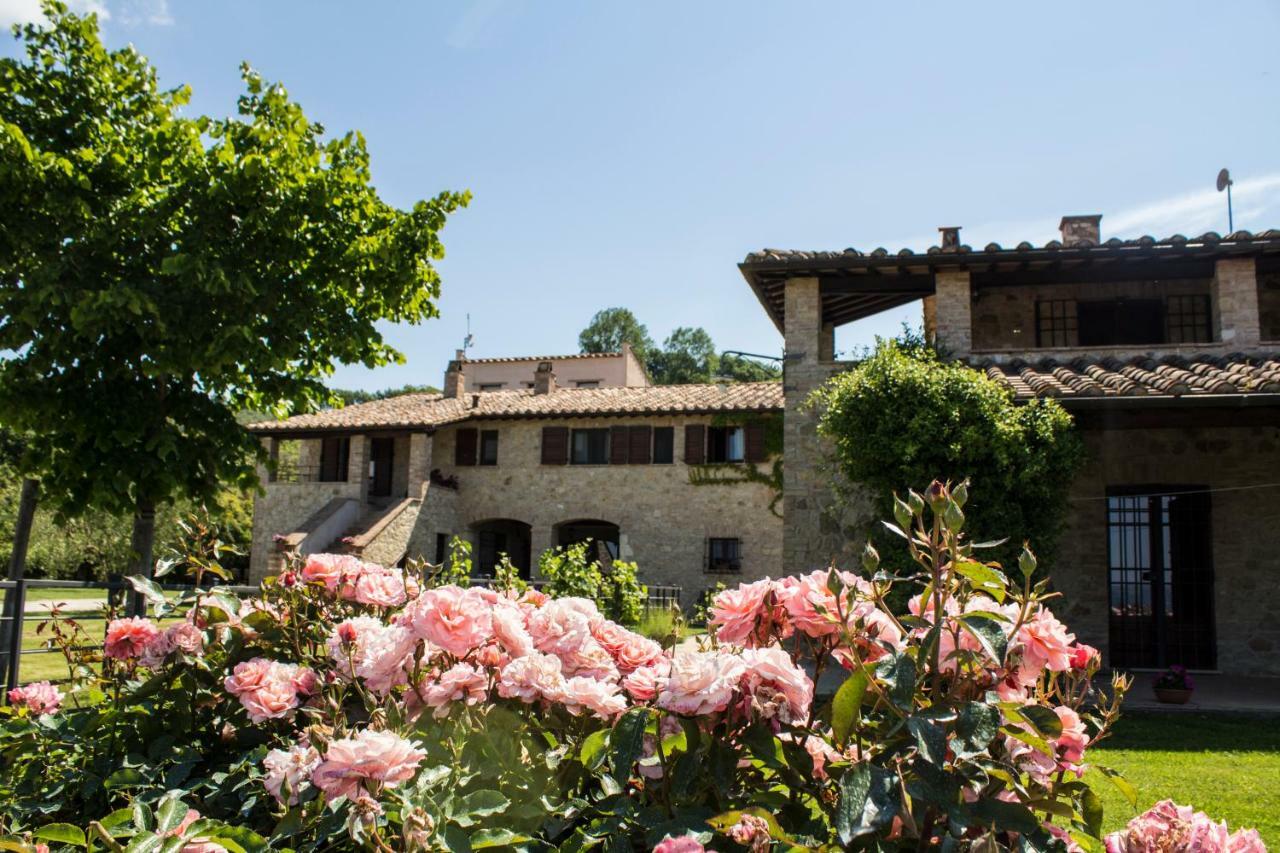 Agriturismo Poggio Del Bolognino Lugnano in Teverina Extérieur photo